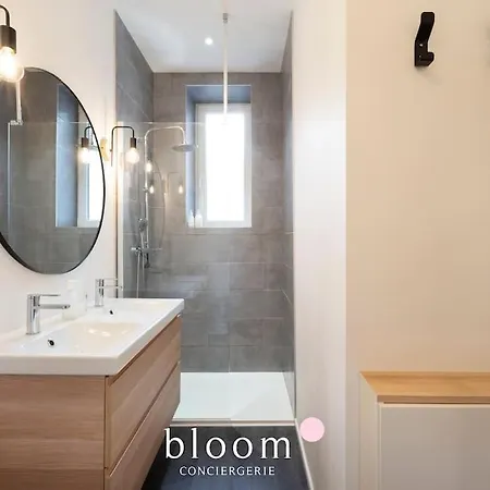 Apartment Elegant Logement Renove Nancy
