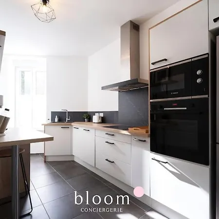 Elegant Logement Renove Apartment